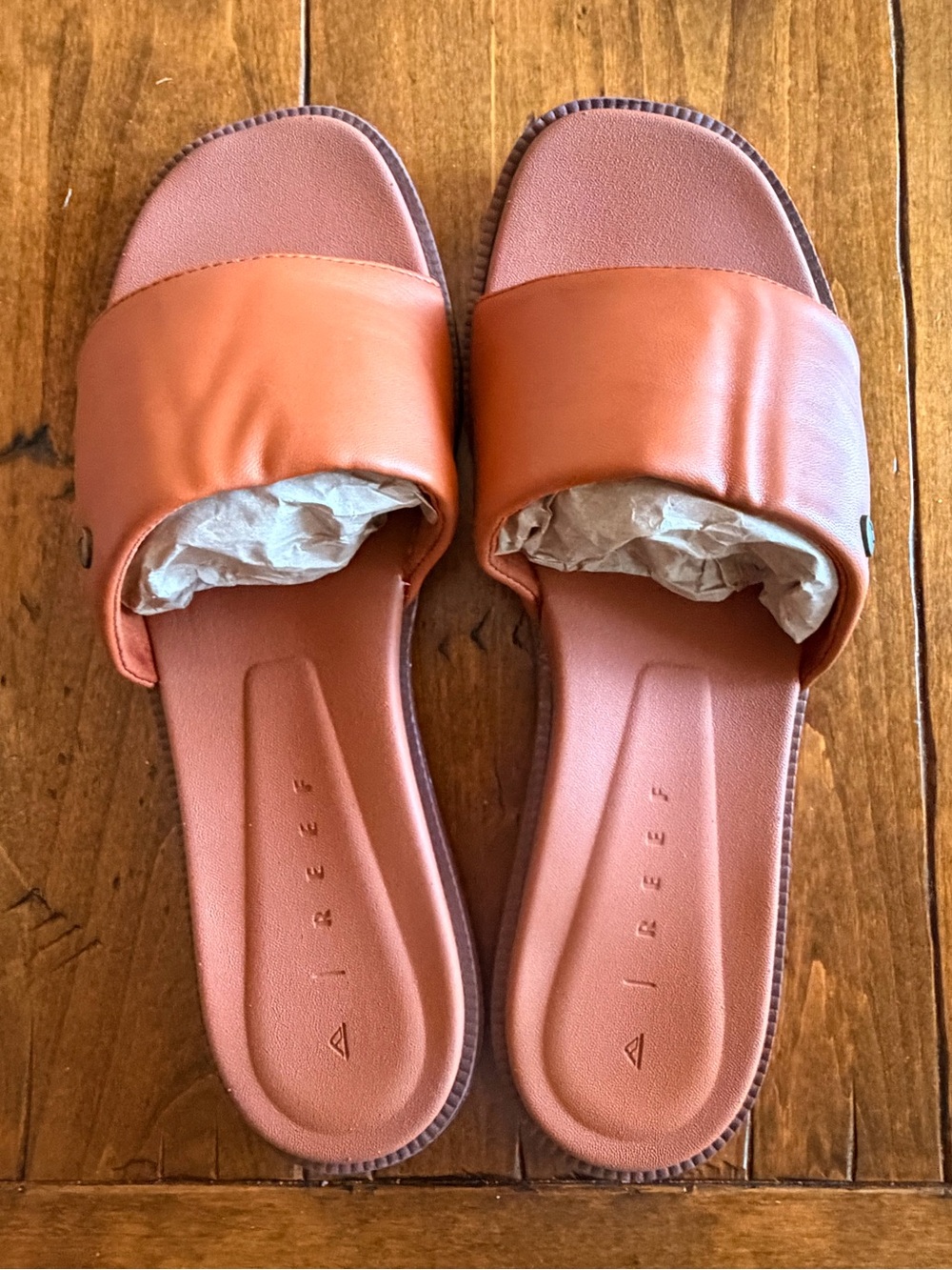 🧡 Reef - Sunny Arrianah 🤎